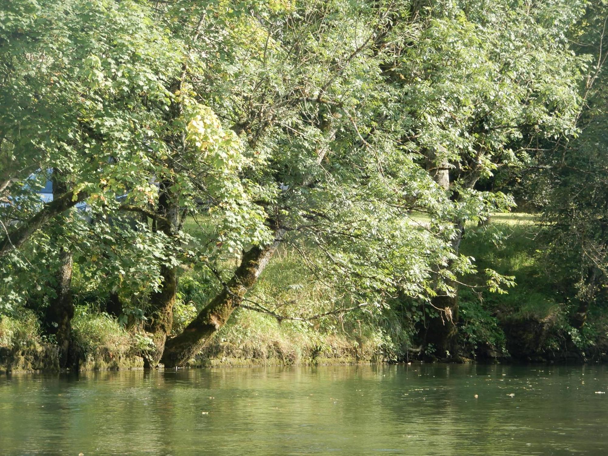 Maison De Vacances - Vue Panoramique Riviere Ornans Eksteriør billede
